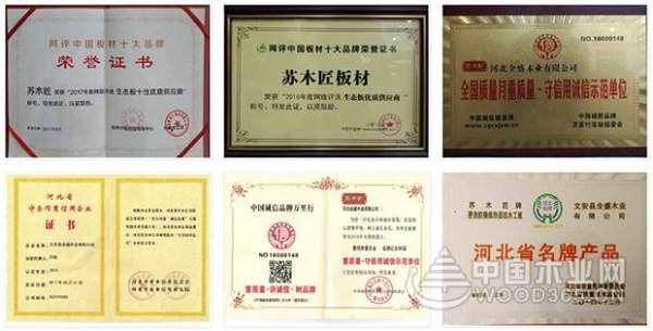 环保时代的践行者——苏木匠实力荣获“生态板十大品牌”