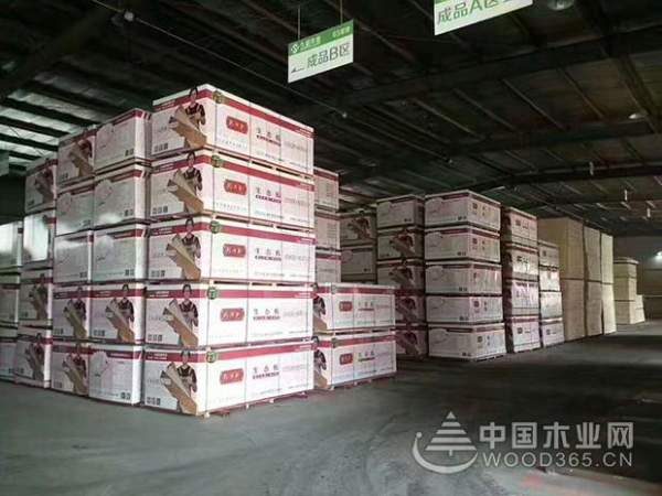 环保时代的践行者——苏木匠实力荣获“生态板十大品牌”