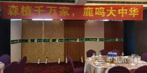 森鹿品牌推广暨合肥运营中心年中感恩答谢会圆满落幕
