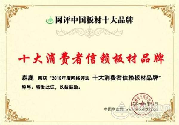 森鹿品牌推广暨合肥运营中心年中感恩答谢会圆满落幕