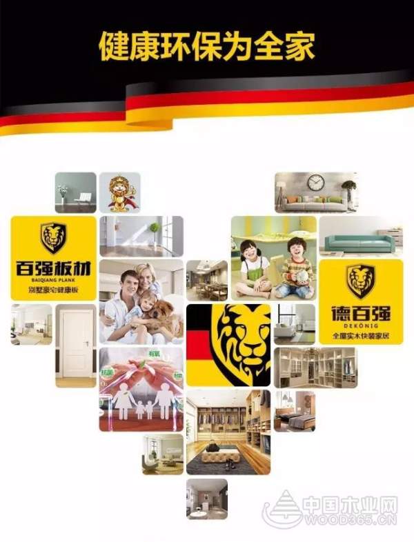 殊荣不断 百强板材斩获“十大人气功能型品牌”称号