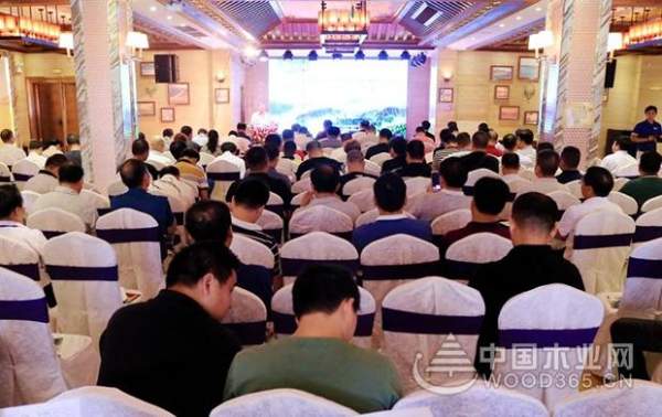 壮象：融安香杉喜迎盛会