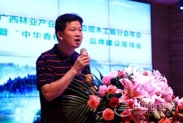 壮象：融安香杉喜迎盛会