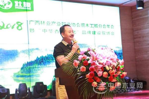 壮象：融安香杉喜迎盛会