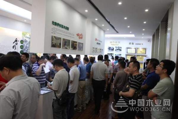 壮象：融安香杉喜迎盛会