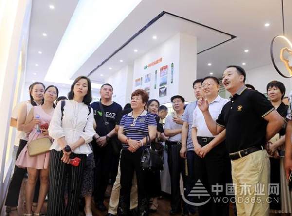 壮象：融安香杉喜迎盛会