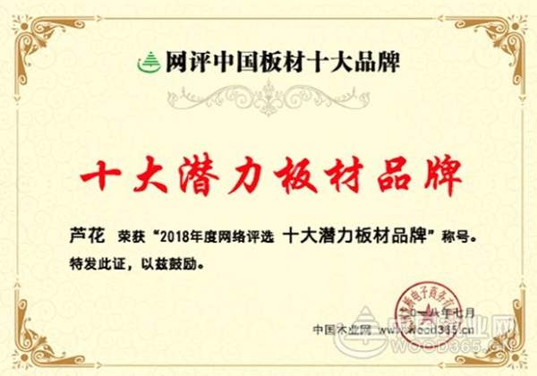 新生力量无惧挑战！芦花实力摘夺“十大潜力板材品牌”等荣誉