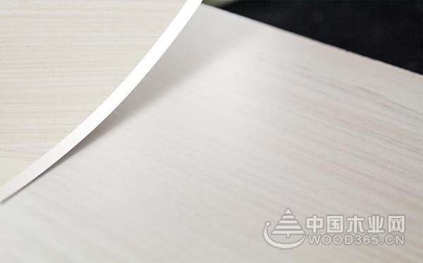 打造品牌的力量，船老大喜获“十大消费者信赖板材”两项大奖！