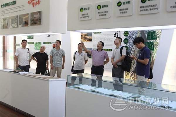 新华社记者到壮象调研香杉产业扶贫