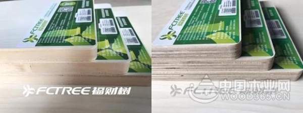 福财树家居板材，荣登2018年胶合板十大品牌榜单！