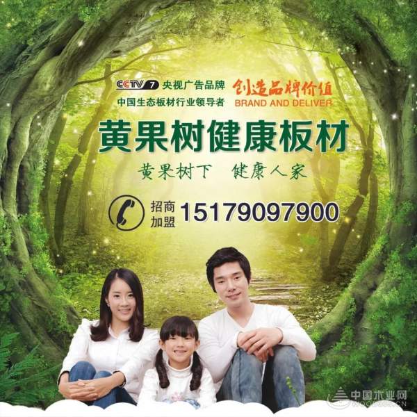 品牌创造价值—黄果树荣获“2018中国板材十大潜力板材品牌”