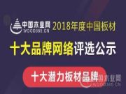 品牌创造价值—黄果树荣获“2018中国板材十大潜力板材品牌”