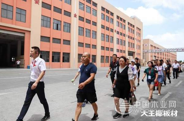 大王椰新经销商参观工厂，见证大王椰匠心品质
