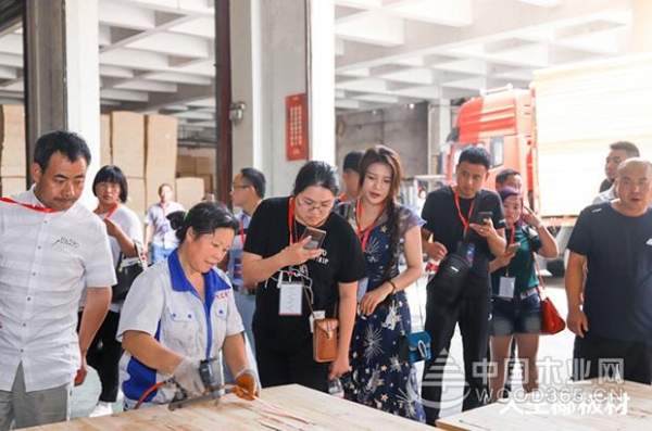 大王椰新经销商参观工厂，见证大王椰匠心品质