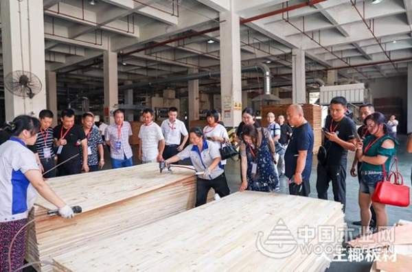大王椰新经销商参观工厂，见证大王椰匠心品质