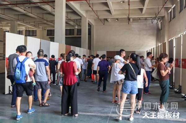 大王椰新经销商参观工厂，见证大王椰匠心品质