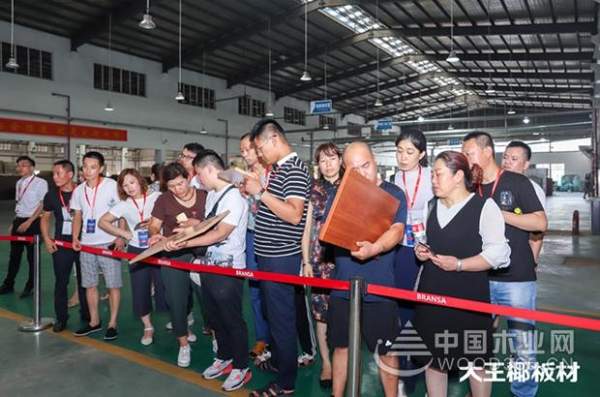 大王椰新经销商参观工厂，见证大王椰匠心品质