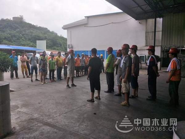 鹏森缘：强化应急演练，夯实生产保障