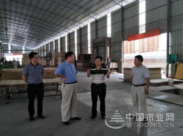 熠熠生辉 广西鹏森缘再迎众领导评审和调研
