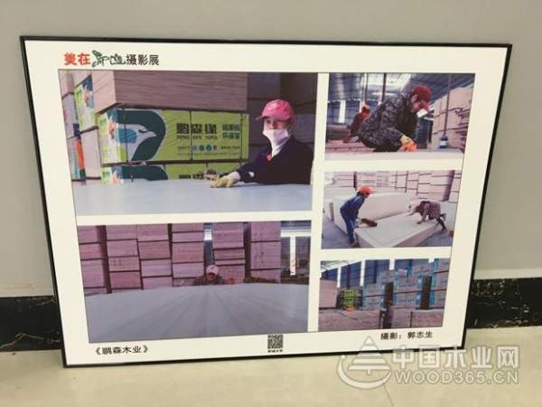 鹏森缘匠心精造，赢取当地社会高度认同