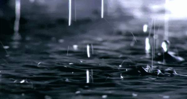 【兔宝宝顺芯板知识】顺芯板可以在梅雨季使用吗？