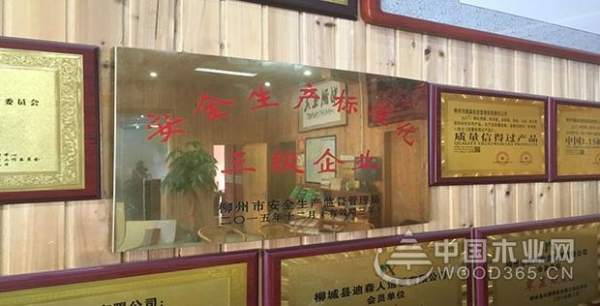 老兵的勋章——鹏森缘艰苦卓绝的风雨历程