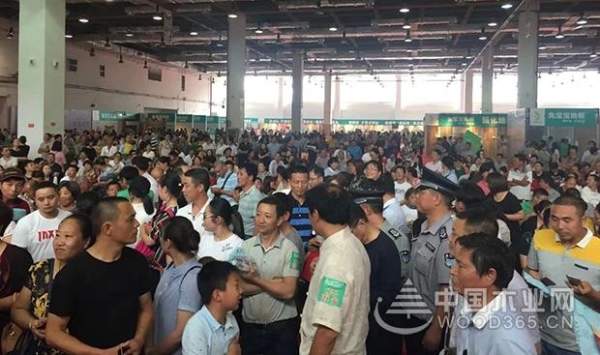 夏不为利，厚惠有期！兔宝宝环保行南通站、长春站盛况空前~