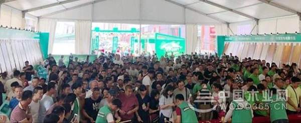 夏不为利，厚惠有期！兔宝宝环保行南通站、长春站盛况空前~