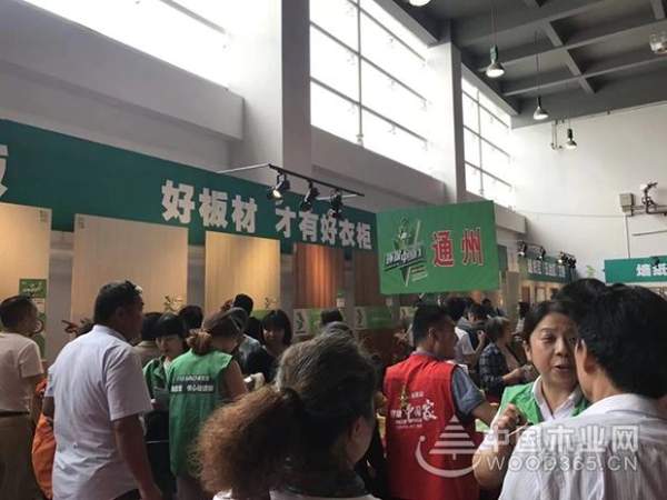夏不为利，厚惠有期！兔宝宝环保行南通站、长春站盛况空前~