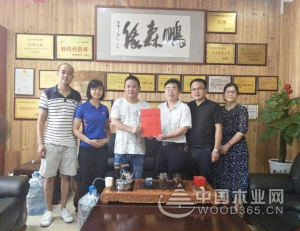 爱心点燃希望 鹏森缘真情传递温暖