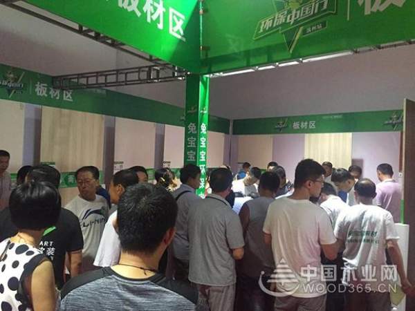兔宝宝环保行火热开启，合肥、岳阳、滨州同时沸腾狂欢
