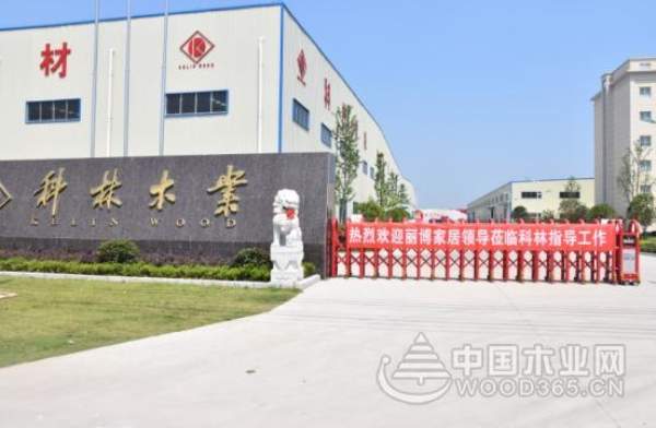 慕名而来 杭州丽博家居参观科林木业