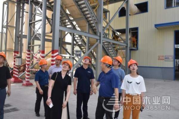 慕名而来 杭州丽博家居参观科林木业