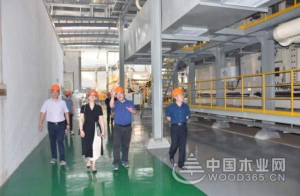慕名而来 杭州丽博家居参观科林木业