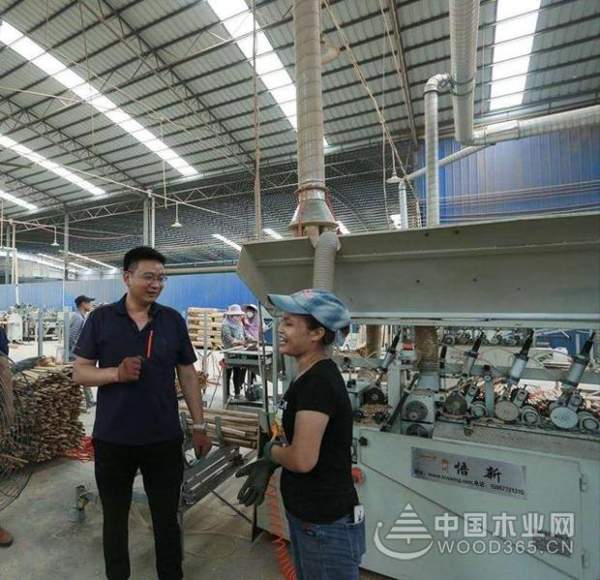 悟新机械：木芯专用四面刨，提高生产效率与质量