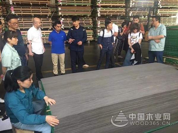 兔宝宝：赢渠道者，赢天下