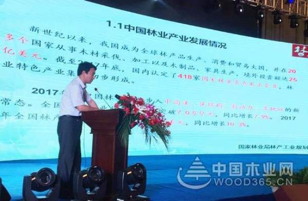 实力证明！科林木业亮相第二届板材全屋定制高峰论坛并作报告