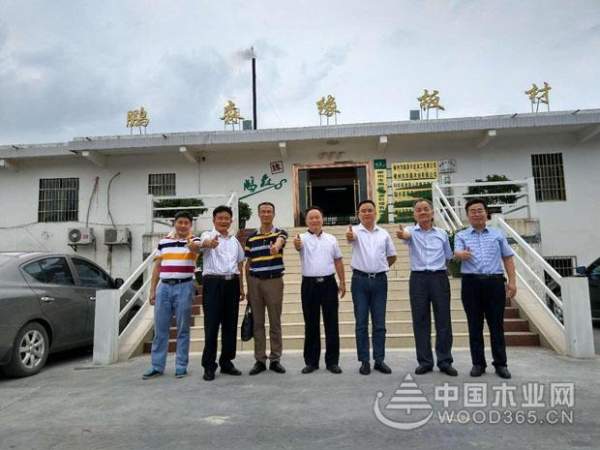 广西林业产业行业协会常务副理事长万业靖一行莅临鹏森缘进行参观考察