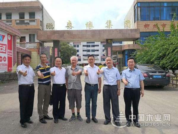 广西林业产业行业协会常务副理事长万业靖一行莅临鹏森缘进行参观考察