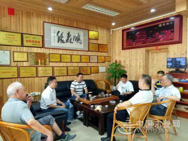 广西林业产业行业协会常务副理事长万业靖一行莅临鹏森缘进行参观考察