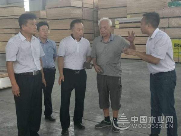 广西林业产业行业协会常务副理事长万业靖一行莅临鹏森缘进行参观考察