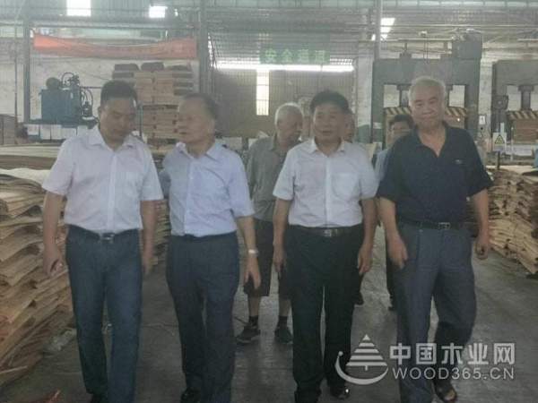 广西林业产业行业协会常务副理事长万业靖一行莅临鹏森缘进行参观考察