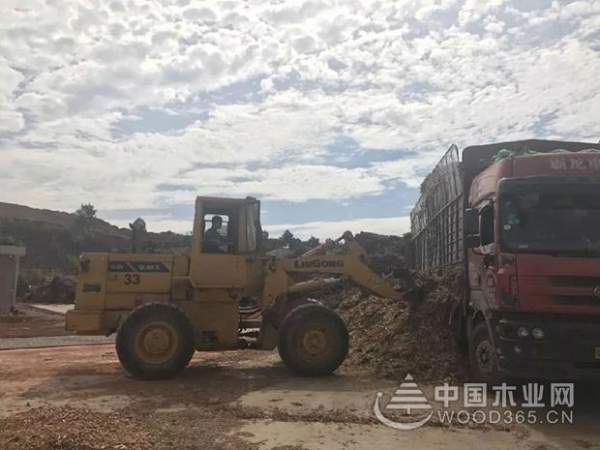 丰林集团各工厂开展送清凉活动