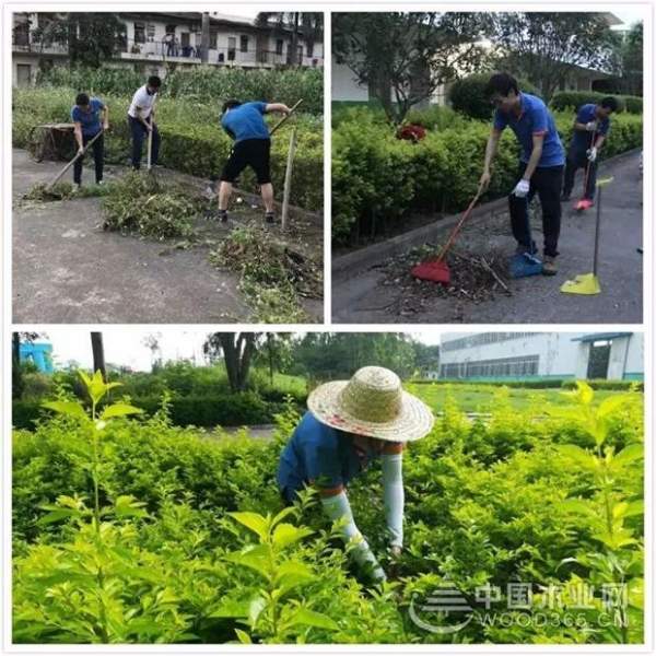 丰林集团各工厂开展送清凉活动