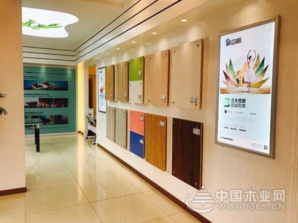 “好板到好柜 易装到位”兔宝宝易装南京店盛大开业