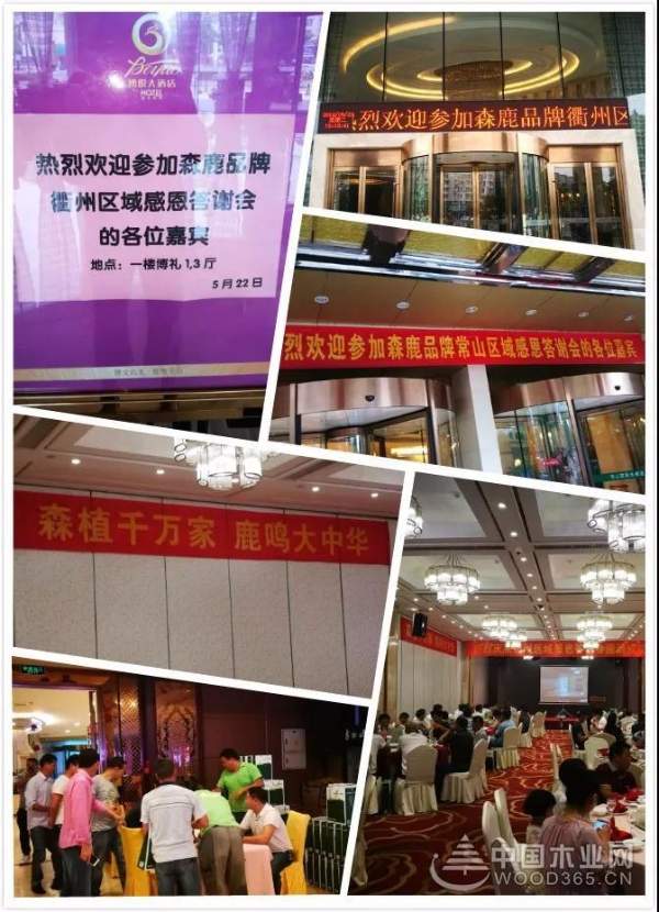 森鹿又双叕搞事情啦！