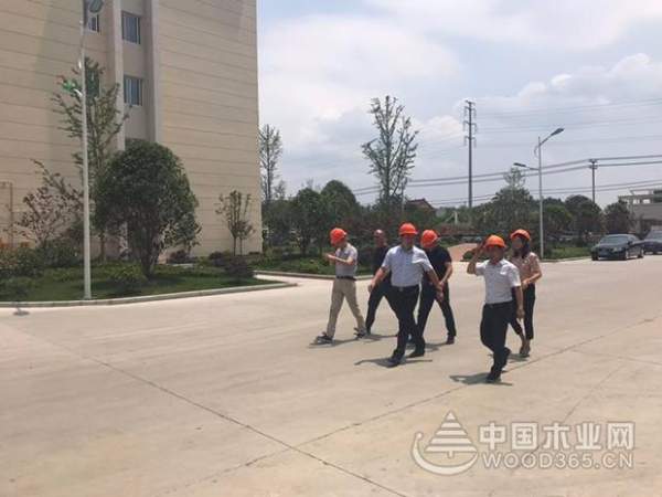 战略联盟形成，志邦与科林将共谋发展！
