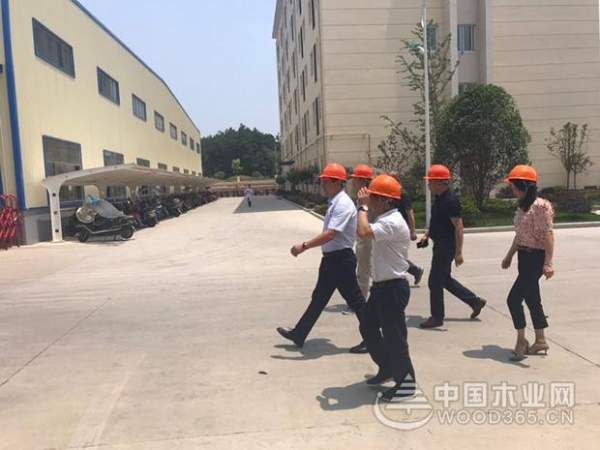 战略联盟形成，志邦与科林将共谋发展！