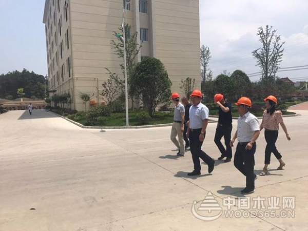 战略联盟形成，志邦与科林将共谋发展！