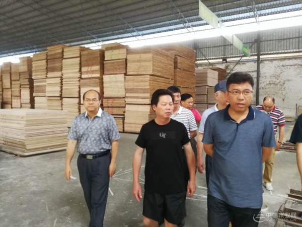 考察调研鹏森缘 来宾市领导一行赞不绝口